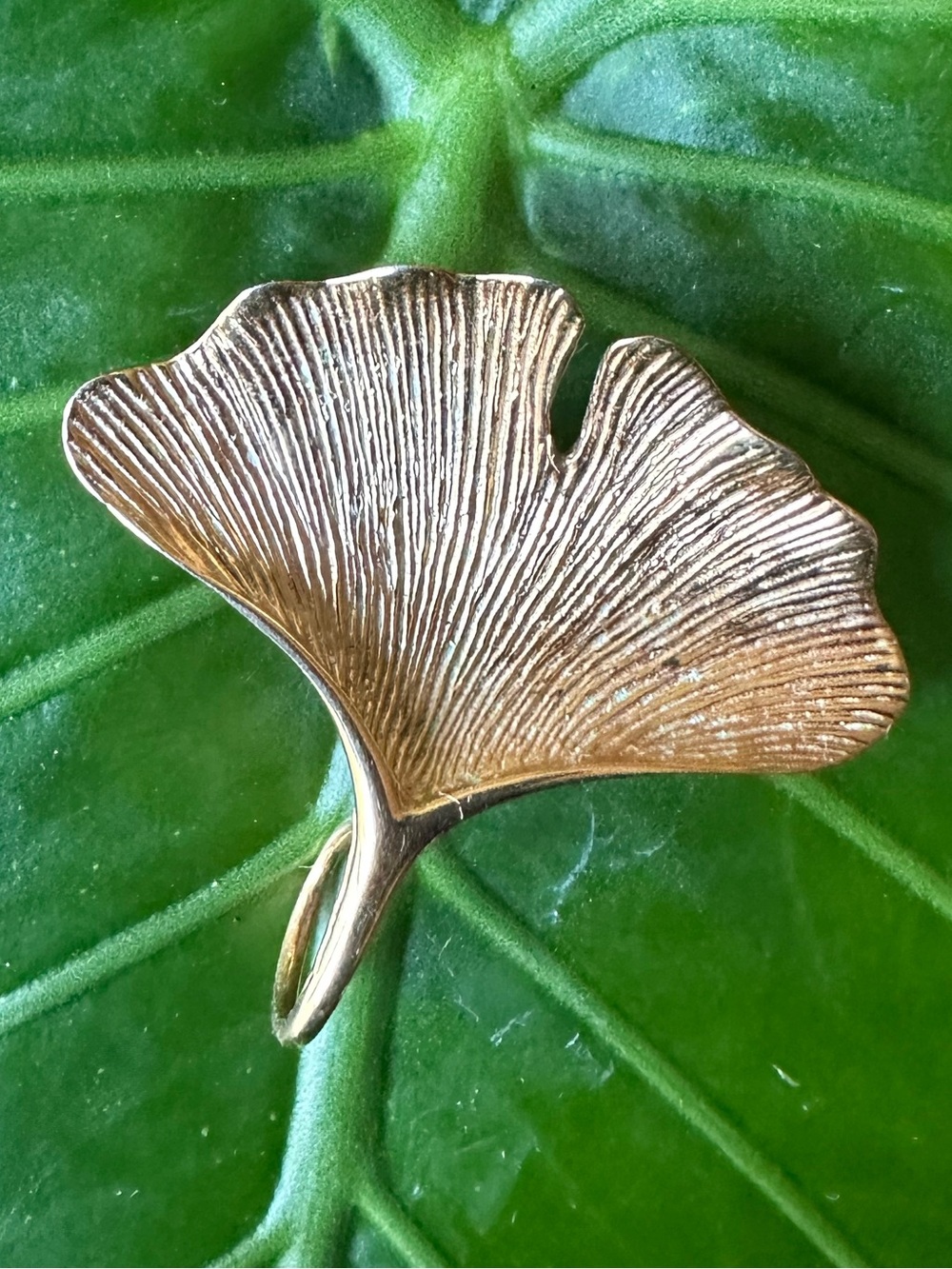 Ginkgo Leaf Gold Tone Brooch Pin